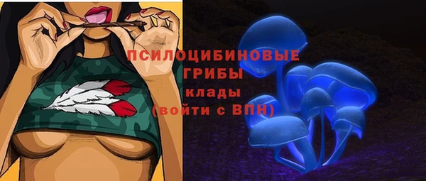 герыч Алзамай