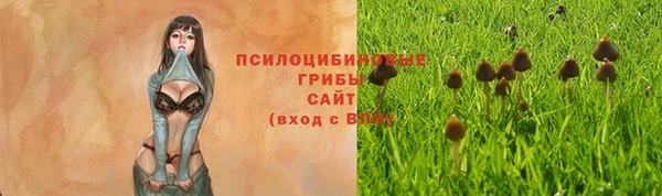трава Алексин