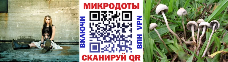 Псилоцибиновые грибы ЛСД  Лебедянь 